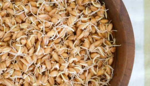خواص روغن جوانه گندم برای لک صورت