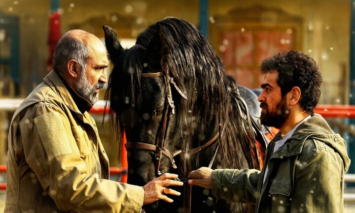 معرفی فیلم های «فجر ۴۳»؛ از نازایی زنان و فساد در فوتبال تا ماجرای دله دزدی از امامزاده