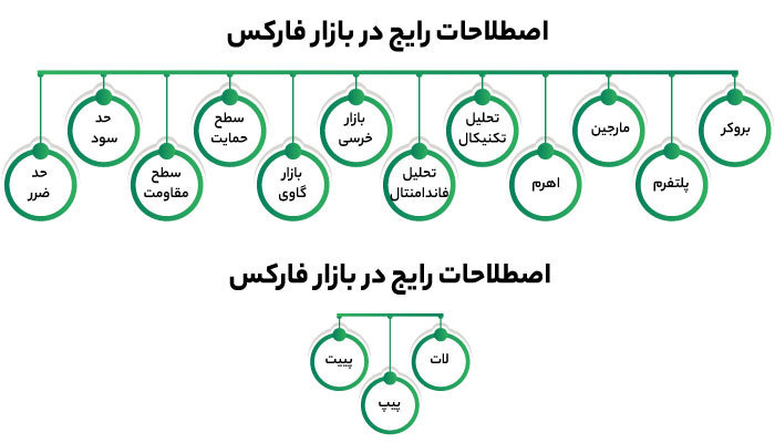 شروع ترید در فارکس؛ راهنمای گام به گام برای تریدرهای مبتدی