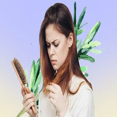 12 گیاه فوق العاده برای کاهش ریزش مو و تحریک رشد مو