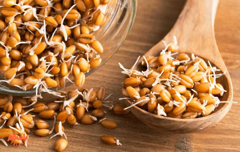  پودر جوانه گندم - راه حل طبیعی برای درمان بیماری های مزمن