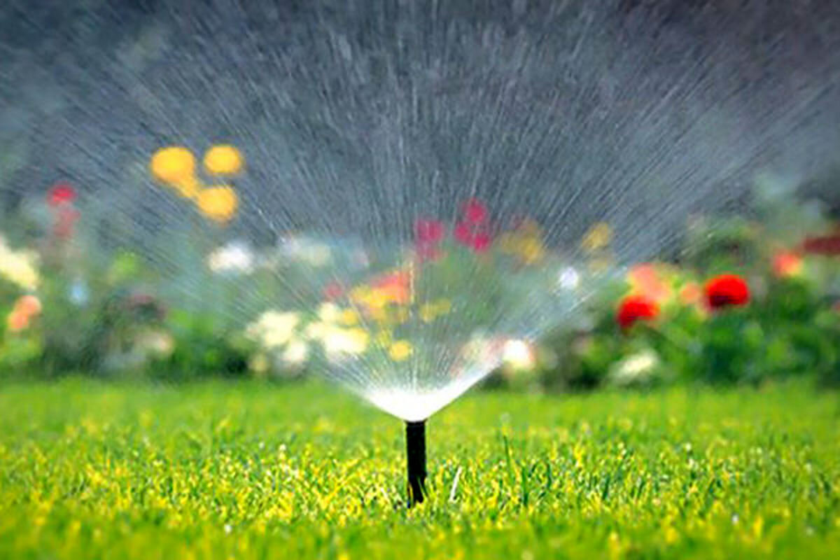 آب می رود و درختان می خشکند/ هدر رفت منابع آبی در آبیاری فضای سبز پایتخت