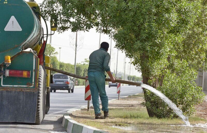 آب می‌رود و درختان می‌خشکند/ هدر رفت منابع آبی در آبیاری فضای سبز پایتخت